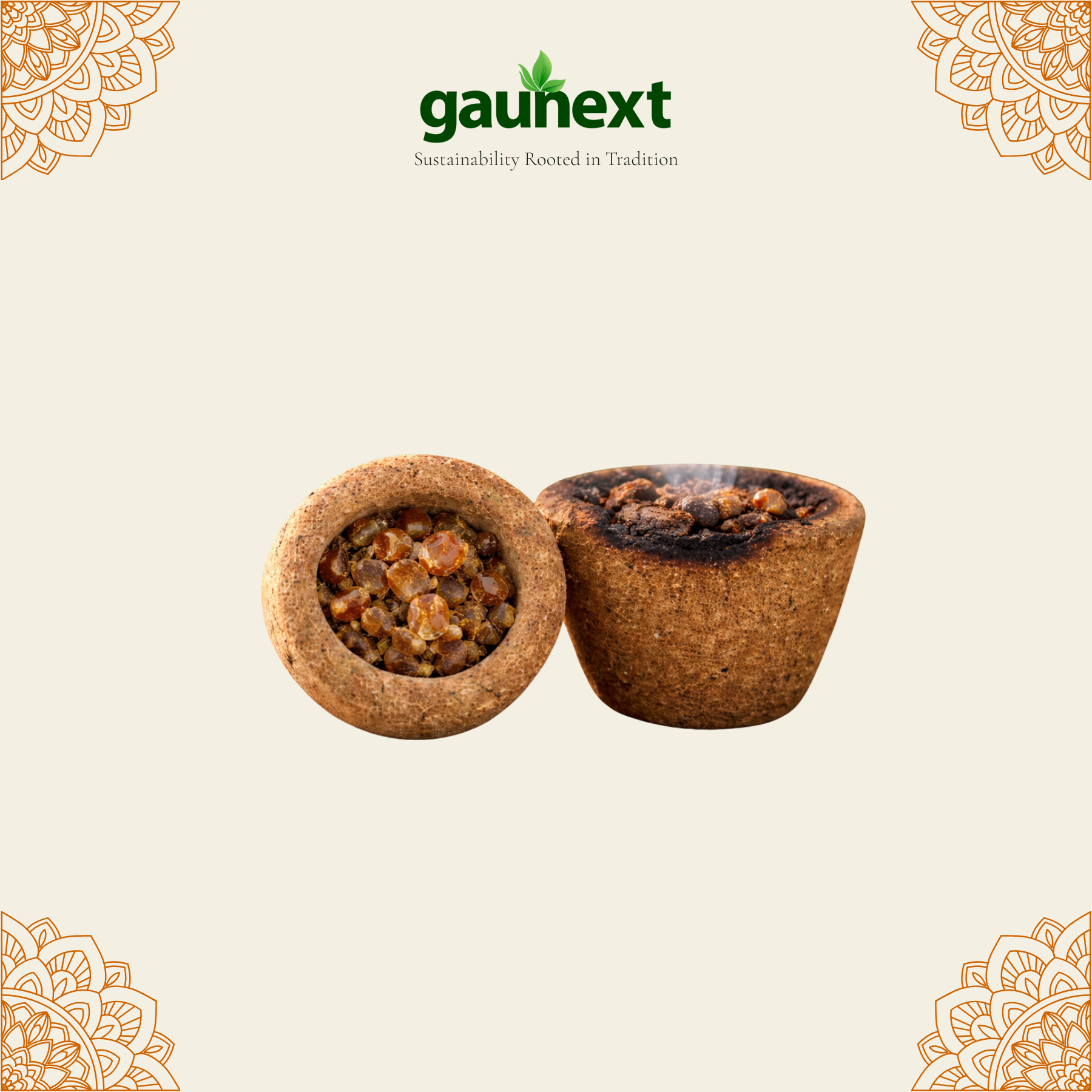 Pavitra Cow Dung Guggal Dhoop Cup (Pack of 12)